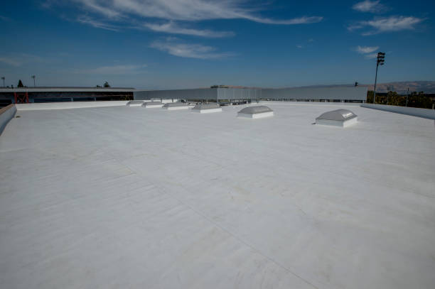 Best Roof Coating and Sealing  in Alsip, IL